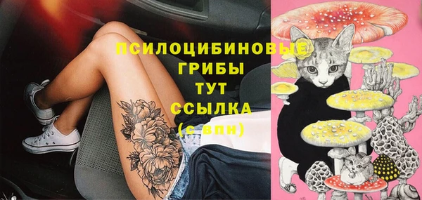 амф Алексеевка