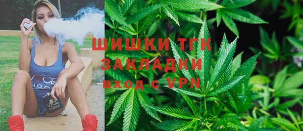 ПСИЛОЦИБИНОВЫЕ ГРИБЫ Алзамай