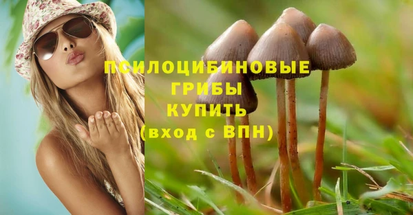 прущая мука Пересвет